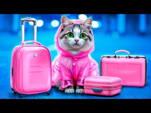 Мы построили тайную комнату для кота! Я спасла бездомного маленького котенка!