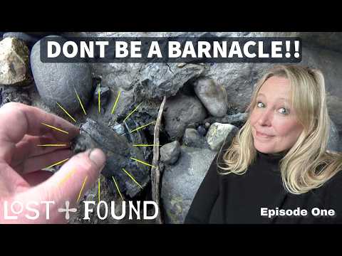 Everything You Didn't Know About Barnacles....Until Now!! Lost & Found with @ThamesFestivalTrust