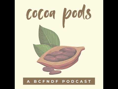 What do women in low resource settings do about their health ? Nollywood, Market women and a prev...