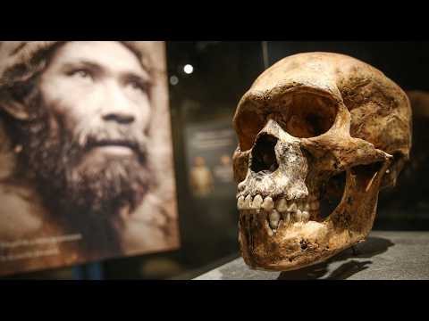 Scientists Unearthed a Dozen Denisovan Fossils