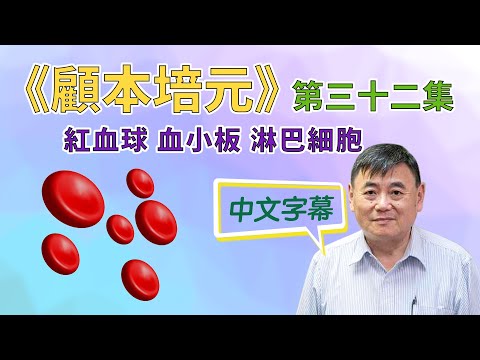《顧本培元》第三十二集   紅血球 血小板 淋巴細胞 - 中文字幕