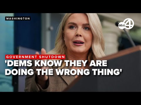 Karoline Leavitt targets Dems as government shutdown extends to day 2