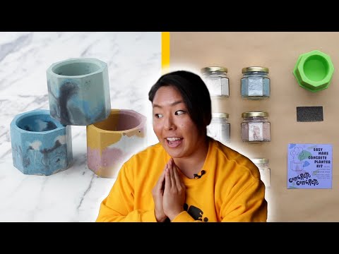 I Tried A DIY Mini Planter Kit