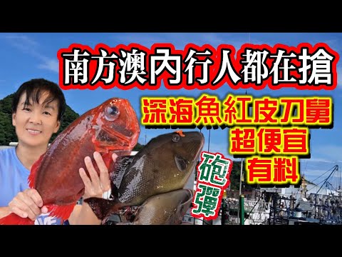 宜蘭南方澳漁港超不爽～內行人都搶著買｜手釣小紅瓜斑90元小鐵甲70元～不錯過#美食 #南方澳 #市場拍賣 #忙碌的商務人士 #士脩 #紅皮刀舅#炮彈#赤筆仔#紅喉 2025年9月4日