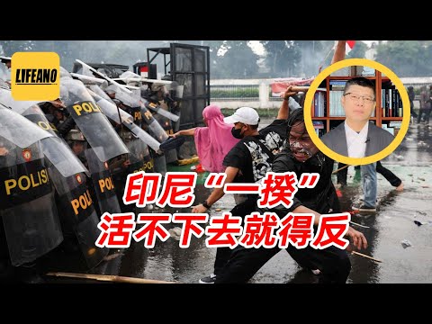 袁sir聊印尼暴乱与日本一揆：百姓造反，目的其实很单纯 #lifeano漫聊