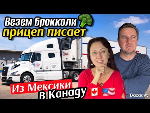 Канадские дальнобойщики рейс в Техас США// везём брокколи из Мексики в Канаду