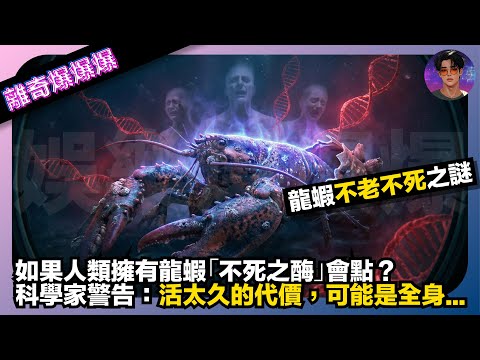 【離奇爆爆爆】龍蝦不老不死之謎｜如果人類擁有龍蝦的「不死之酶」會怎樣？｜科學家警告：活太久的代價，可能是全身...｜娛樂爆爆爆