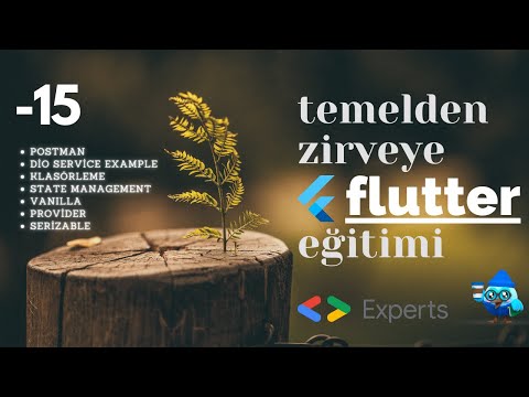 Temelden Zirveye Flutter: #15 Postman, Dio, Klasorleme, Vanilla State ve Provider etc.