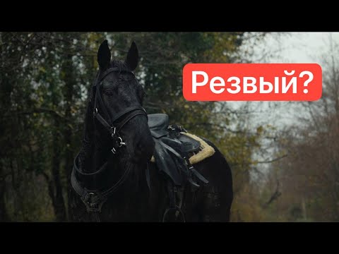 Обзор на взрывного жеребца. Галоп по реке | Александр Обжерин