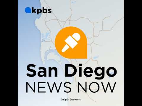 ICE agents dispersed to airports across country amid TSA staffing shortages