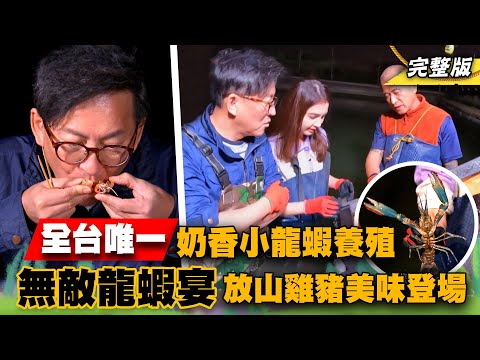 《詹姆士出走料理》全台唯一奶香小龍蝦 無敵龍蝦宴與皮脆肉嫩放山豬、放山雞美味料理樣樣來-第200集-2023/3/19