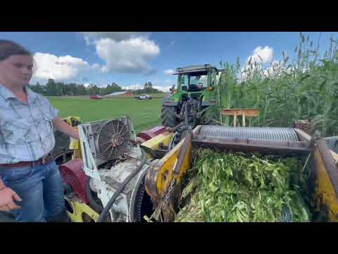 E11: Making Sorghum: The Journey from Hand-Cutting to Modernization for the Guenther Family