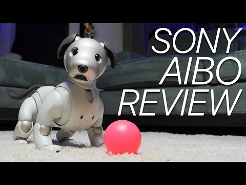 Sony Aibo Review: This Robot Dog Is STILL Learning New Tricks!