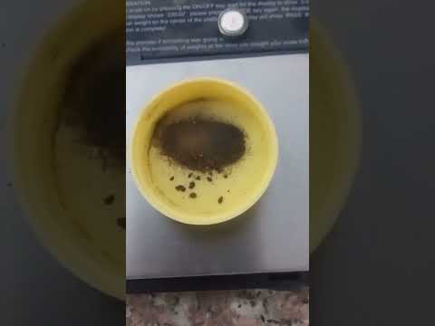 صهر معدن ذهب مع تبر وشوائب