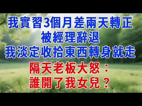 我實習3個月差兩天轉正，被經理辭退，我淡定收拾東西轉身就走，隔天老板大怒：誰開了我女兒？#原创视频 #人生感悟 #故事分享 #故事頻道 #生活經驗 #职场 #打脸