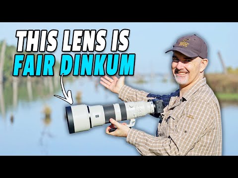 Sony 400-800mm In The Wild! Insane Reach & Sharpness!