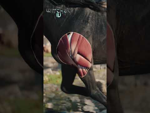 The Witcher 4 — Unreal Engine 5 Tech Demo #2 #unrealengine5 #thewitcher4