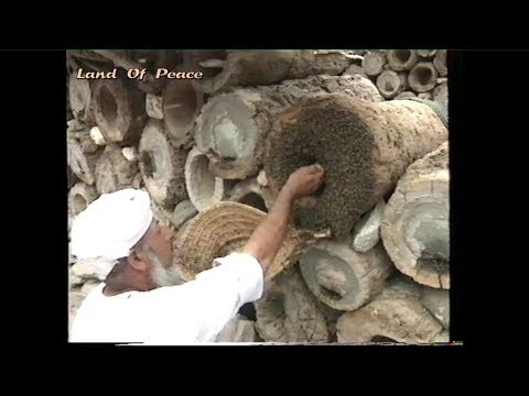 Traditional Beekeeping / Sultanate Of Oman