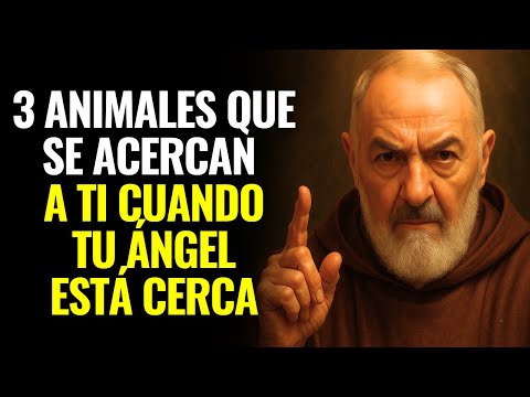 PADRE PÍO REVELA: 3 ANIMALES QUE SE ACERCAN A TI CUANDO TU ÁNGEL DE LA GUARDA ESTÁ CERCA