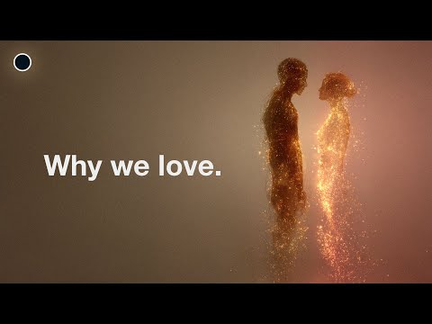 What Happens to Your Brain When You Fall in Love?