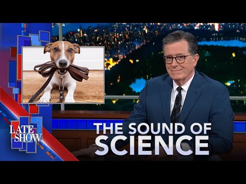 The Sound of Science: “Dune” Desert Planet | Don’t Skip Your Dog’s Walk | Do Tattoos Make You Gassy?