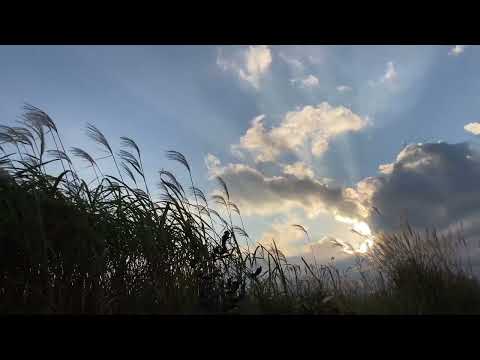 ［ととのい映像］ととのいステーション秋／さふぃスパ舞子「シーサイドホテル舞子ビラ神戸」