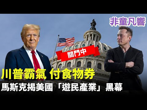 食物券告急，川普霸氣說我來付。馬斯克揭民主黨不惜政府關門的真正盤算！美國遊民為何越來越多？那是一個「遊民產業」，只有從根斷掉金流，才有機會解決。｜2025.11.1【非童凡響】