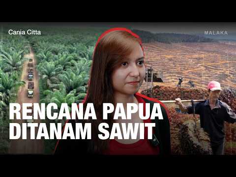 Membaca Masalah Sawit dari Hulu ke Hilir