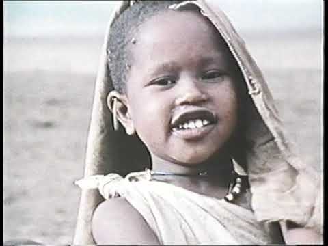 National Geographic: Man of the Serengeti (1972)