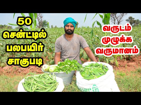 Multi crop | 50 சென்ட்டில் தொடர்ச்சியான வருமானம் | பல பயிர் சாகுபடியில் கலக்கும் விவசாயி