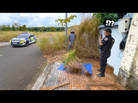 The thick overgrowth of weeds obscured the police station, followed by a spectacular cleanup effort