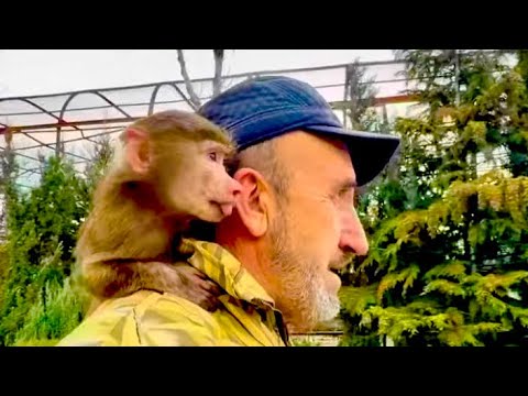 Anfisa simply UNWINDED my sweater in five minutes! She's not a child, she's a miracle with horns😃