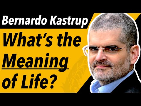 Decoding the Metaphysics of Jung & Schopenhauer