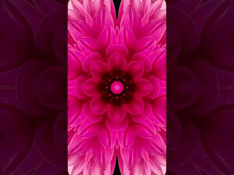 Lotus Flower Activation Ritual #crownchakra #spiritualmusic