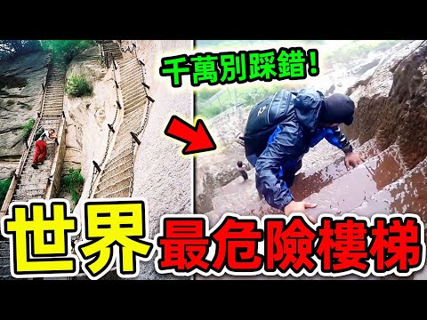 全世界最危險的10個樓梯！每年超過5000人在此喪命，第一名堪稱“天堂之路”，你敢來挑戰嗎？|#世界之最top #世界之最 #出類拔萃 #腦洞大開 #top10 #最危險樓梯