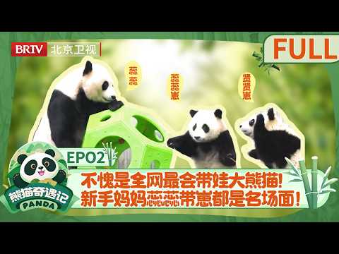 《熊猫奇遇记》第二期《成长奇旅》《The Panda Adventure》Episode 2 "Panda Growth Adventure"