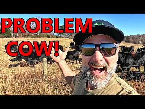 We Got FARM PROBLEMS!!  He's an ESCAPE ARTIST!