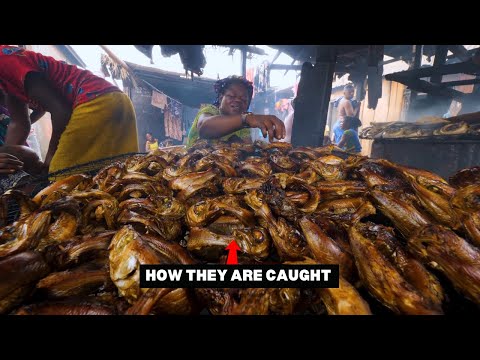 Fishing in Africa's Biggest Floating Slum - Makoko Lagos Nigeria