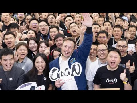 The Truth About Working for Elon Musk (Part 1)