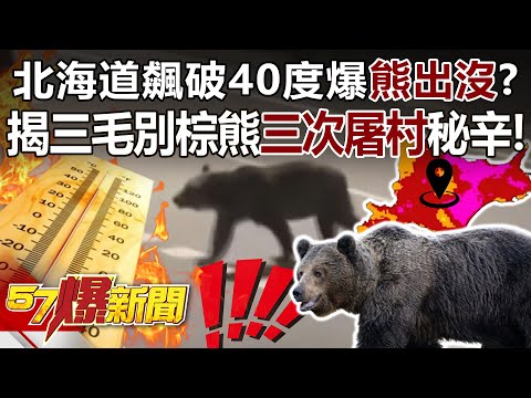 Hokkaido hits 40°C, sparking “bear sightings”? Reveal secret of Sankebetsu's 3 deadly bear attacks!