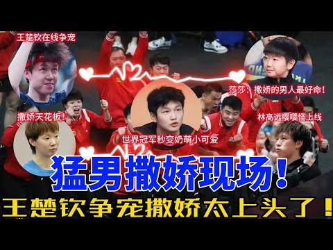 国乒欢乐专场！樊振东“娇气”上线，王楚钦争宠名场面引爆全场，林高远樊振东互怼升级，笑料连连超精彩！#搞笑 #王楚钦 #孙颖莎 #樊振东 #林高远