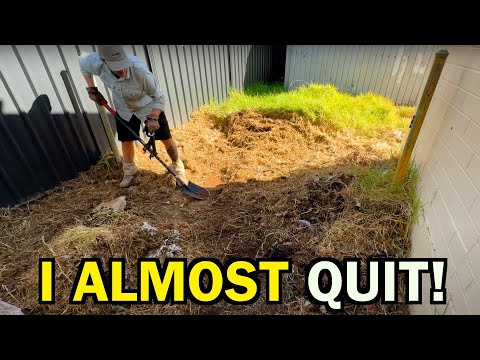 THIS Yard almost BROKE ME – You Won’t Believe What I Found! [CRAZY TRANSFORATION]