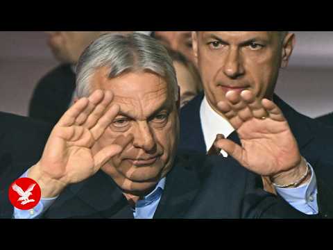 Viktor Orbán loses Hungary election as opposition supporters react to win