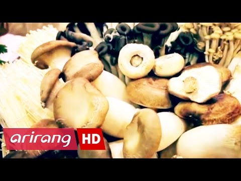 Arirang Special(Ep.358) Korean Mushrooms Captivating the Global Palate _ Full Episode