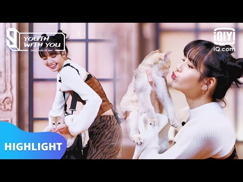 Khách mới đặc biệt của Lisa mang đến | Thanh Xuân Có Bạn 3 | iQiyi Vietnam