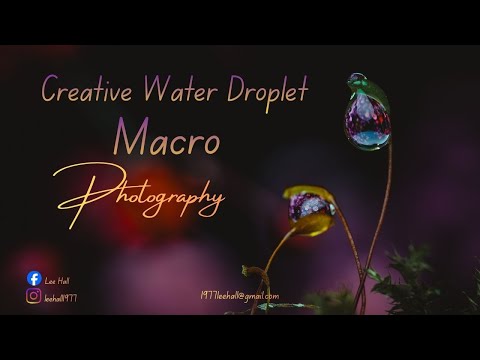 Creative water droplet macro photography using moss.