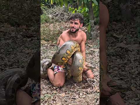 Dia 55 Buscando Anaconda 10M ! 🐍