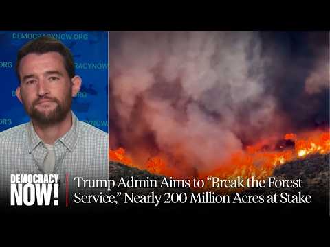 Trump Admin Aims to "Break the Forest Service," Nearly 200 Million Acres at Stake