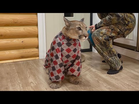 Puma Messi in a stylish jumpsuit! Morning with Messi.