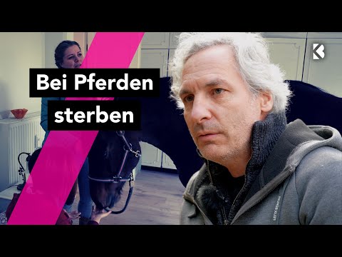 1 Tag Hospiz: Wenn die Tochter stirbt